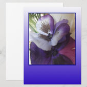 ブルーのアクセントを添えて招待状を送りましょう！ 招待状 (正面/裏面)