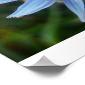 ブルーのホバーフライ ポスター (角)