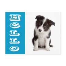 ブルーのボーダーコリーの子犬 こんにちは