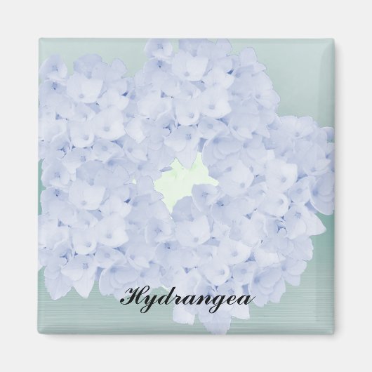 ブルーの大輪の紫陽花のマグネット マグネット (正面)