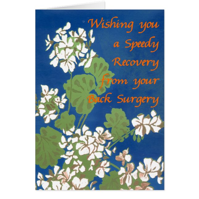 ブルーの白いゲラニウムが背中の手術にピッタリ (正面)