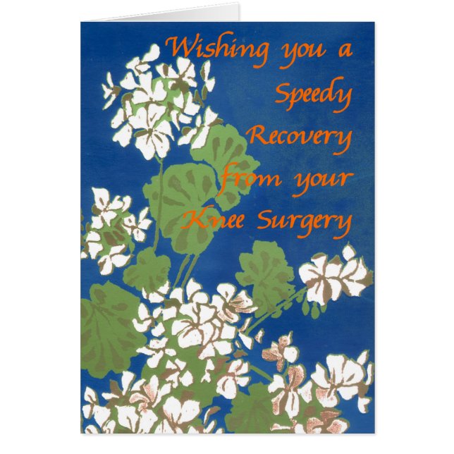 ブルーの白いゲラニウムが膝の手術にピッタリ (正面)