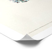 ブルーアイイエローウォーブラーbyオードボンポスター ポスター (角)