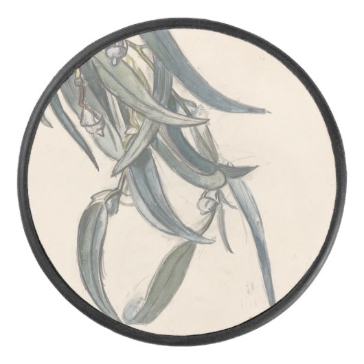 ブルーアイエンデタックヴァンエユーカリ アイスホッケーパック (正面)