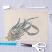 ブルーアイエンデタックヴァンエユーカリ 薄葉紙 (クラフト)