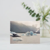 ブルーアイス ポストカード (スタンド正面)