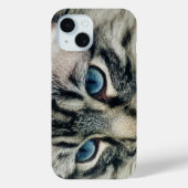 ブルーアイズがクローズアップされたタビー猫 Case-Mate iPhoneケース (裏面)