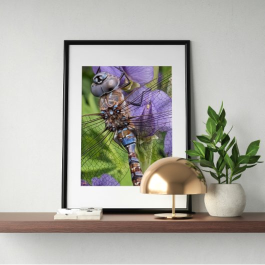 ブルーアイドダーナードラゴンフライ写真 ポスター