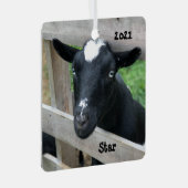 ブルーアイドブラックナイジェリア矮性乳製品ヤギ メタルオーナメント (正面右)