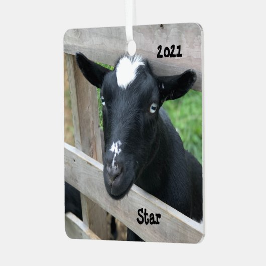ブルーアイドブラックナイジェリア矮性乳製品ヤギ メタルオーナメント (正面左)