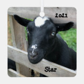 ブルーアイドブラックナイジェリア矮性乳製品ヤギ メタルオーナメント (裏面)