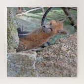 ブルーアイドベビーキツネ ジグソーパズル (横)