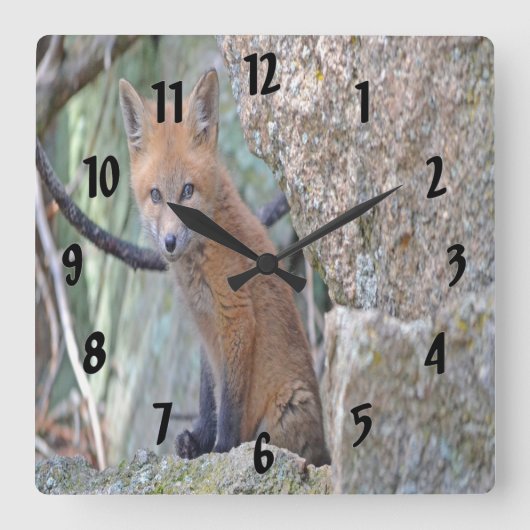 ブルーアイドベビーキツネ スクエア壁時計 (正面)