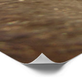 ブルーアイドミニフィリー ポスター (角)