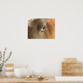 ブルーアイドミニフィリー ポスター (キッチン)