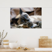 ブルーアイド美しい ポスター (キッチン)