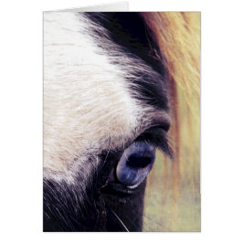 ブルーアイホース