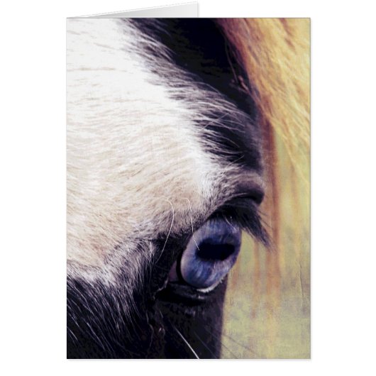 ブルーアイホース (正面)