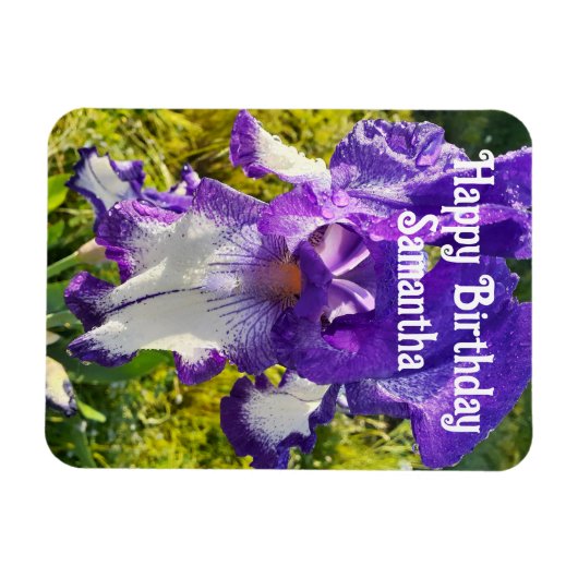 ブルーアイリスアイリスフラワーフラワーズフローラ誕生日 マグネット (横)