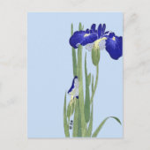 ブルーアイリスズバイオラコソン ポストカード (正面)