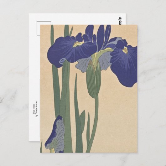 ブルーアイリスズバイオラコソン ポストカード (正面/裏面)