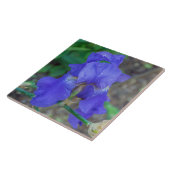 ブルーアイリスセラミックタイル タイル (側面)