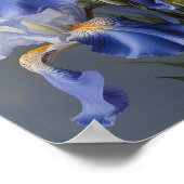 ブルーアイリスフラワーアートプリントポスター ポスター (角)