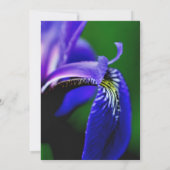 ブルーアイリスフローラブライダルウェディングシャワー招待状 招待状 (裏面)