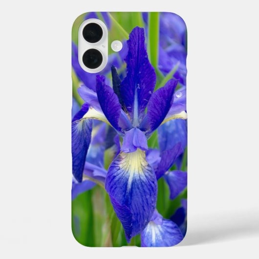 ブルーアイリス電話ケース Case-Mate iPhoneケース (裏面)