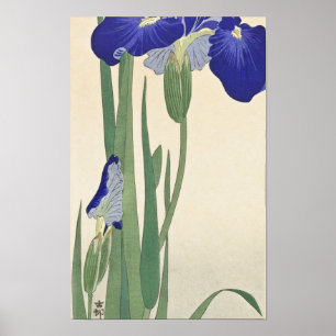 ブルーアイリス(1900年~1930年)大原小村 ポスター