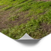 ブルーアガベの風景 ポスター (角)