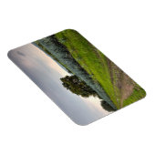 ブルーアガベの風景 マグネット (右側)