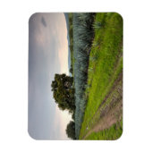 ブルーアガベの風景 マグネット (縦)