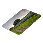 ブルーアガベの風景 マグネット (左側)