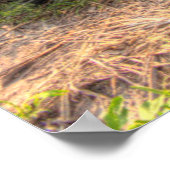 ブルーアガベ ポスター (角)