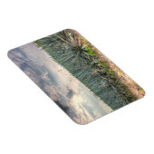 ブルーアガベ マグネット (右側)