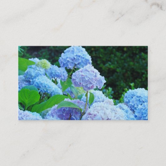 ブルーアジサイの花 フローラル ビジネスカード (正面)