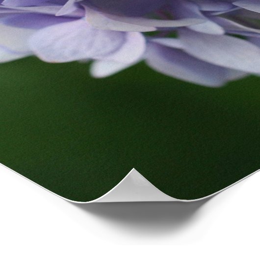 ブルーアジサイ花びら鏡抽象芸術 ポスター (角)