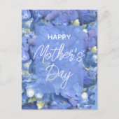 ブルーアジサイ開花母の日 ポストカード (正面)