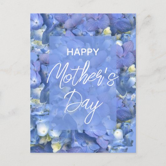 ブルーアジサイ開花母の日 ポストカード (正面)