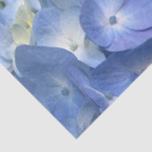 ブルーアジサイ開花 薄葉紙 (詳細)