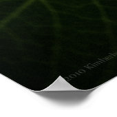 ブルーアジサイ8514プリント ポスター (角)