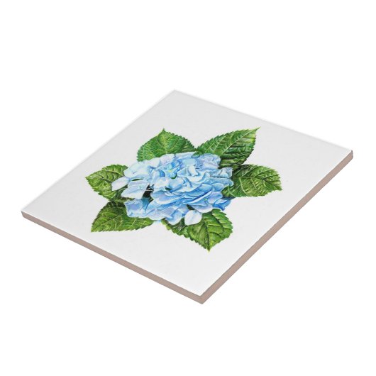 ブルーアジサイ タイル (側面)