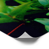 ブルーアジサイ ポスター (角)