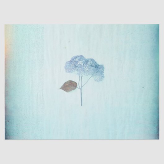 ブルーアジャンジアヴィンテージフローラ素朴アンティーク 薄葉紙 (正面)