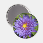 ブルーアスター マグネット (正面/裏面)