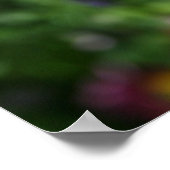 ブルーアネモネ花の写真ポスター ポスター (角)