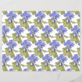 ブルーアノネス (裏面)