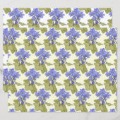 ブルーアノネス (正面/裏面)