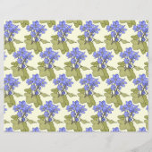 ブルーアノネス (正面)